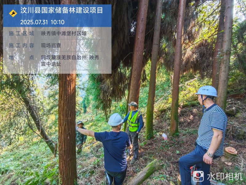 图片7