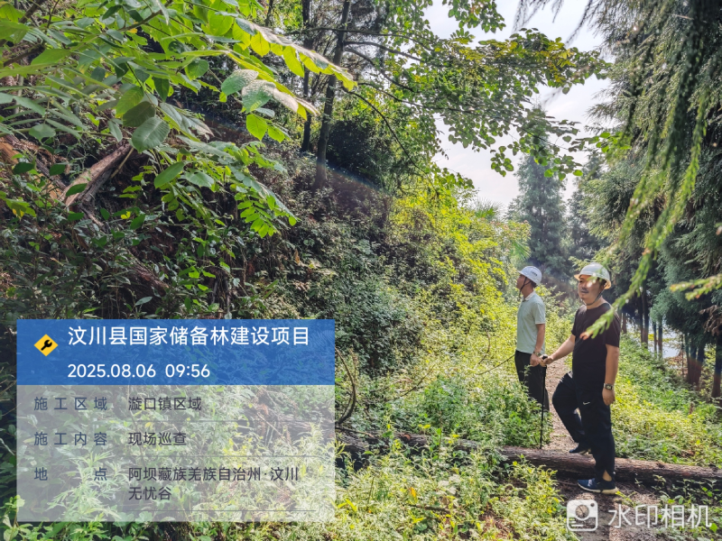 图片5