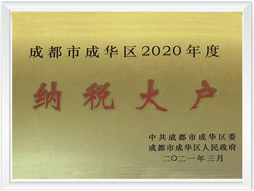 2020年度纳税大户