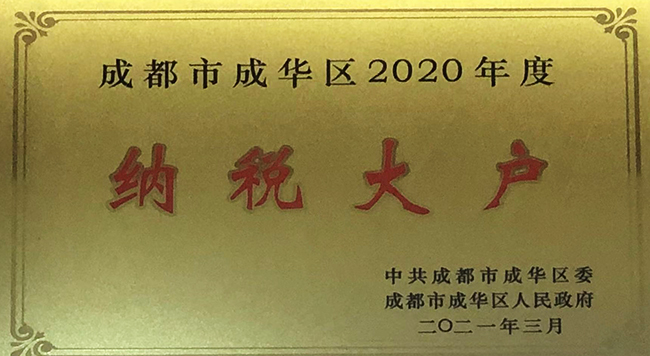 2020年度纳税大户