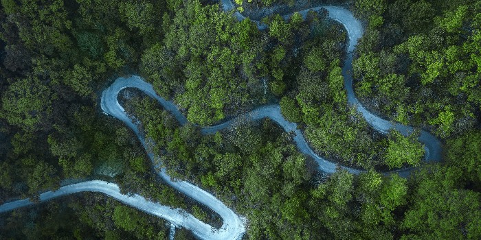 首盛全过程咨询项目：贵州省毕节市金沙县国家储备林