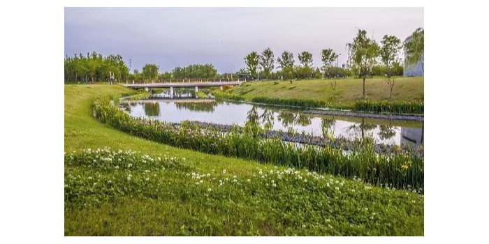 首盛监理项目：张家口市万全区城西河河滨缓冲带生态修复及人工湿地水质净化工程
